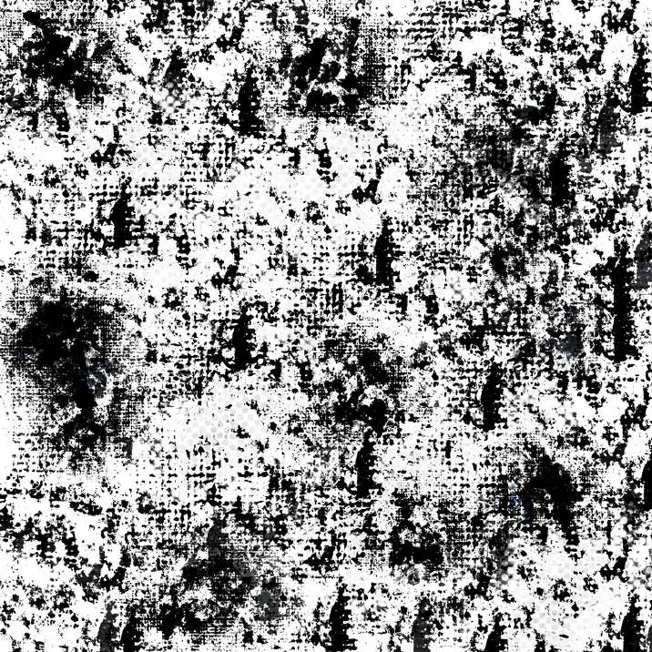Monochrome Study I